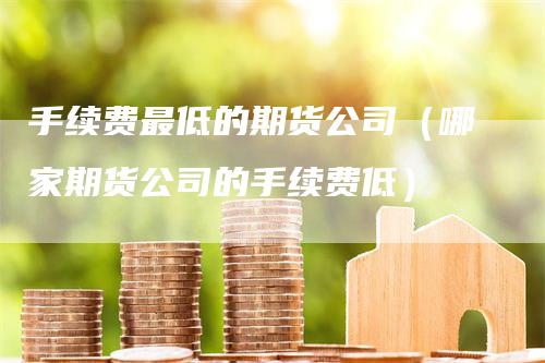 手续费最低的期货公司（哪家期货公司的手续费低）