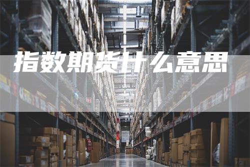 指数期货什么意思