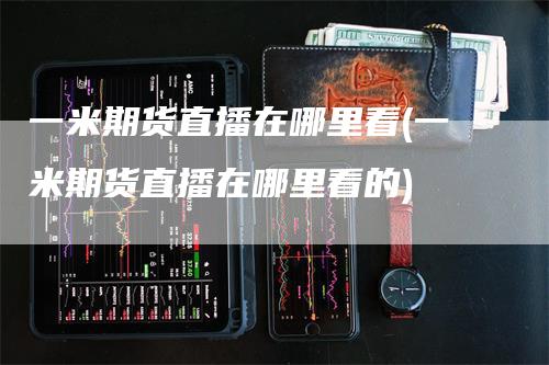 一米期货直播在哪里看(一米期货直播在哪里看的)