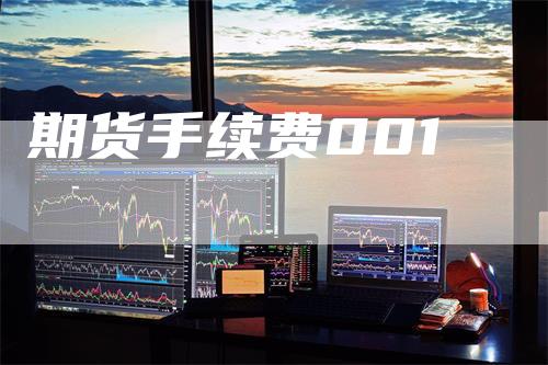 期货手续费001