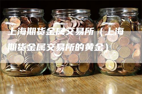 上海期货金属交易所（上海期货金属交易所的黄金）