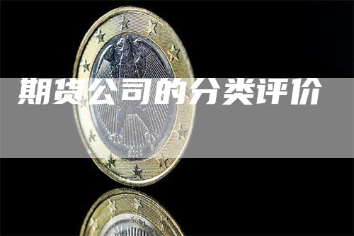 期货公司的分类评价