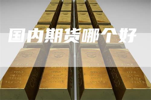 国内期货哪个好