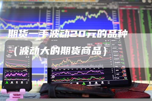 期货一手波动20元的品种（波动大的期货商品）