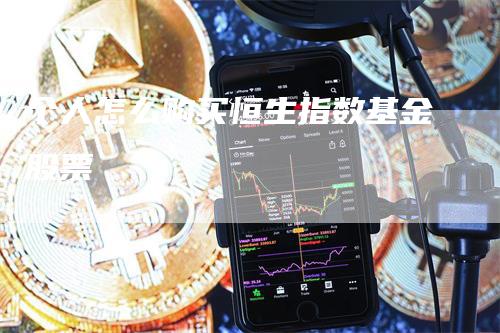 个人怎么购买恒生指数基金股票