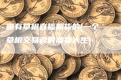 哪有草根直播期货的(一个草根交易者的期货人生)