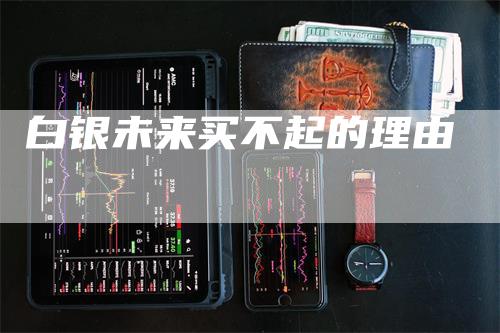 白银未来买不起的理由