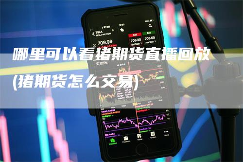 哪里可以看猪期货直播回放(猪期货怎么交易)