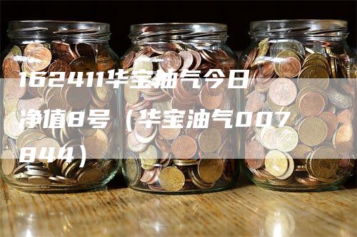 162411华宝油气今日净值8号（华宝油气007844）