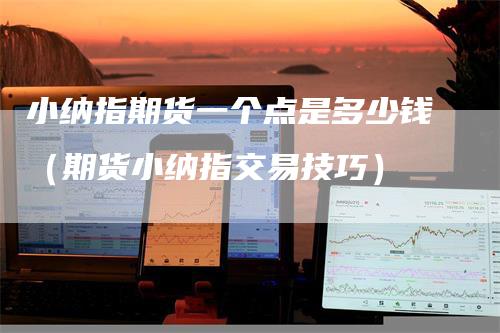 小纳指期货一个点是多少钱(期货小纳指交易技巧)-来福期货