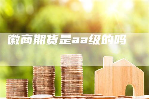 徽商期货是aa级的吗