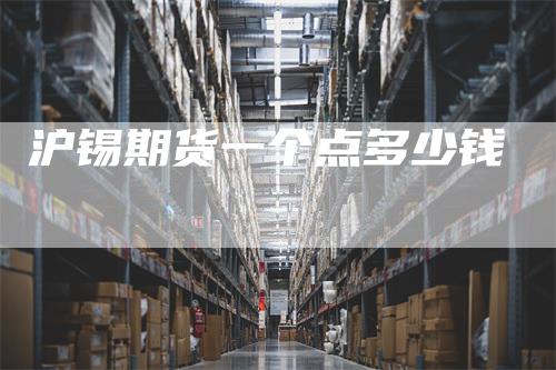 沪锡期货一个点多少钱