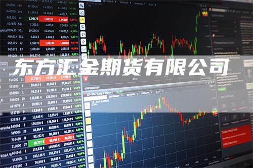东方汇金期货有限公司