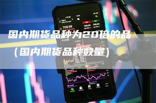 国内期货品种为20倍的品（国内期货品种数量）