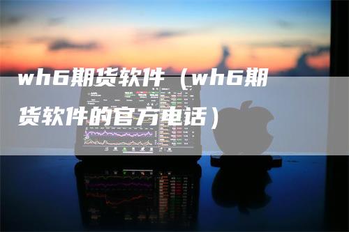 wh6期货软件（wh6期货软件的官方电话）