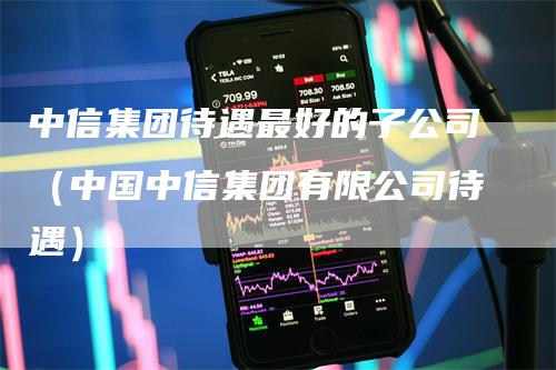 中信集团待遇最好的子公司（中国中信集团有限公司待遇）