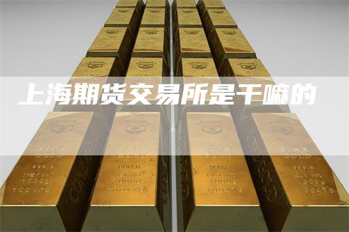 上海期货交易所是干嘛的
